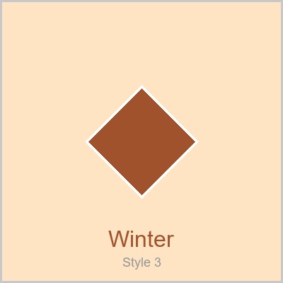 Winter Jacket - Style 3